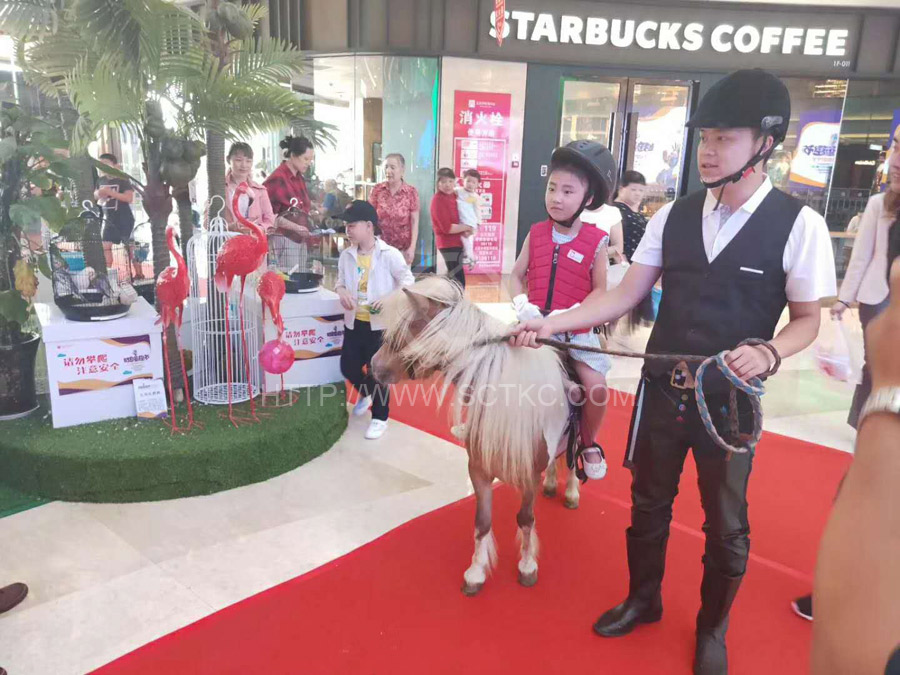 南(nán)充王府井好奇節